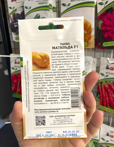 Тыква Матильда F1